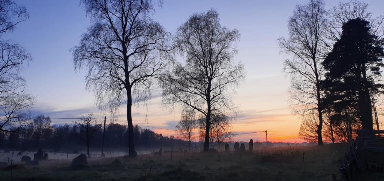 Vittfarnas Hird Vikingaby Bed & Breakfast Sosdala ภายนอก รูปภาพ